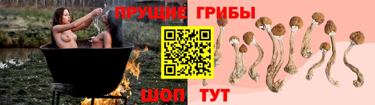 Кумертау  Псилоцибиновые грибы прущие грибы  Вход с VPN 